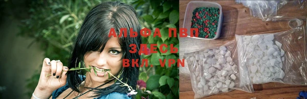 дурь Пестово