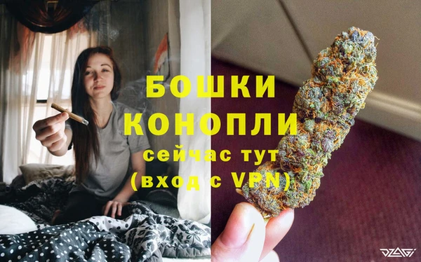дживик Переславль-Залесский