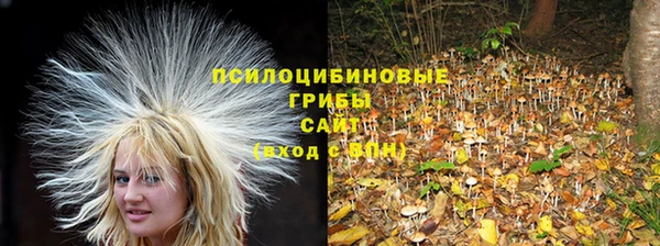 амфетамин Осинники