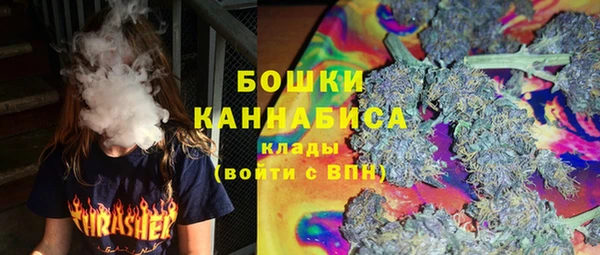 дурь Пестово