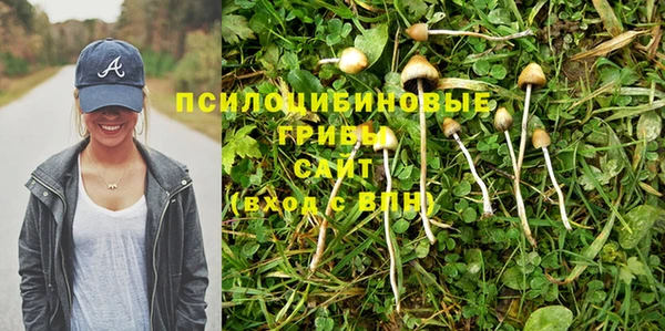 дживик Переславль-Залесский
