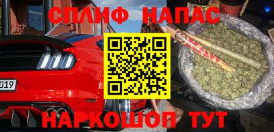 спиды Бийск