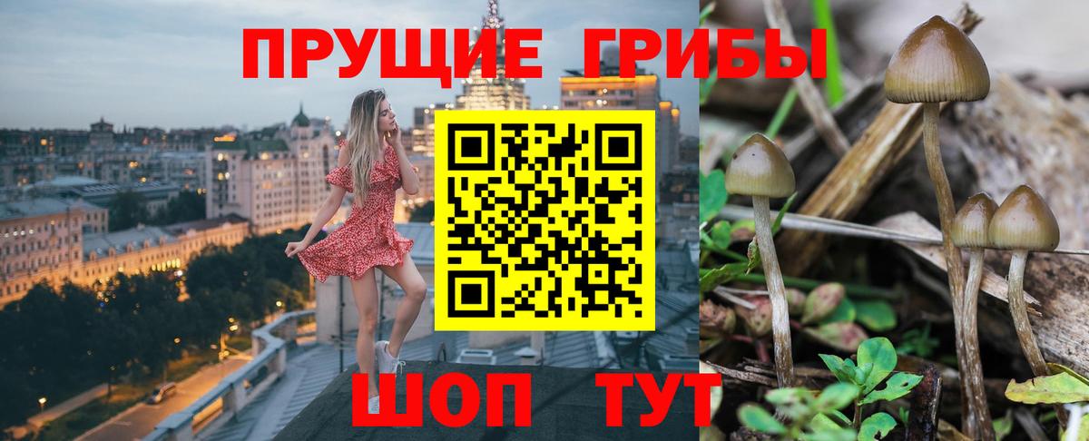 Галлюциногенные грибы MAGIC MUSHROOMS  Галлюциногенные грибы GOLDEN TEACHER  Вход с VPN  Боровичи 