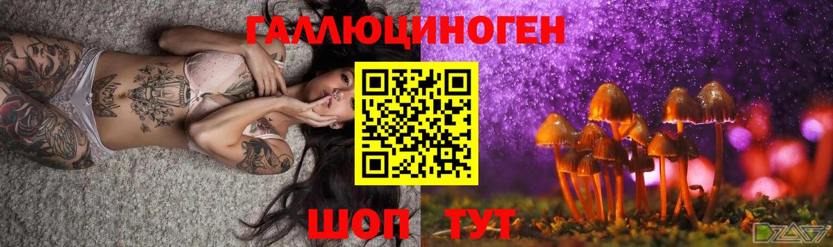 что такое наркотик  Боровичи  Галлюциногенные грибы MAGIC MUSHROOMS  Псилоцибиновые грибы Psilocybe 