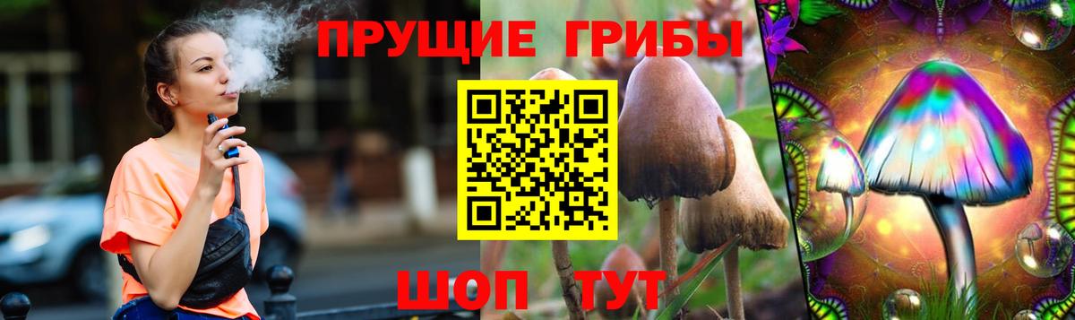 Галлюциногенные грибы Cubensis Боровичи
